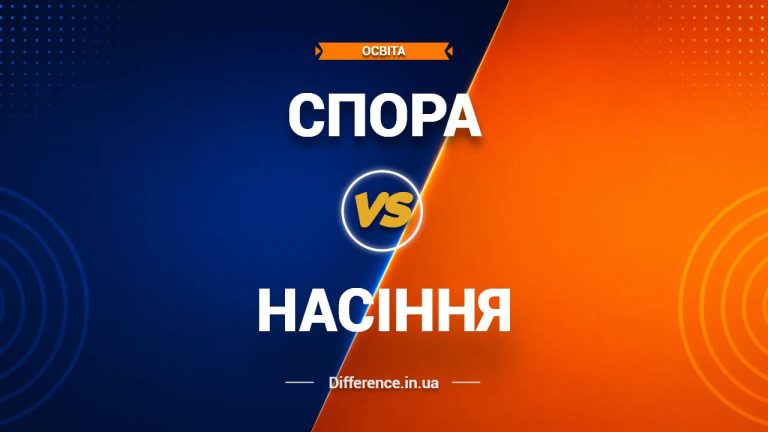 Різниця між спорою та насінням