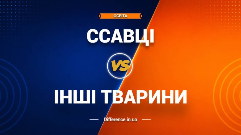 Різниця між ссавцями та іншими тваринами