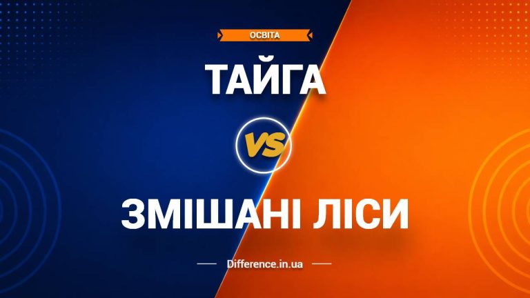 Різниця між тайгою та змішаними лісами