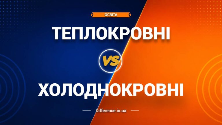 Різниця між теплокровними та холоднокровними