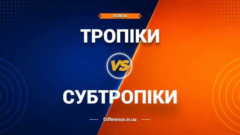 Різниця між тропіками та субтропіками