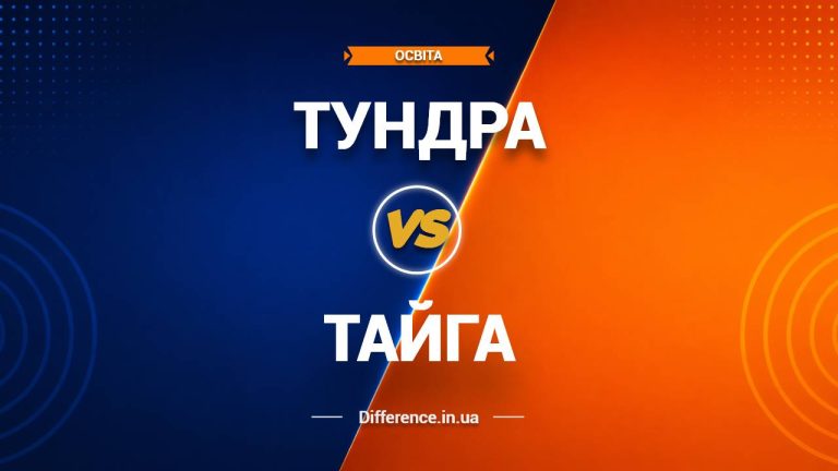 Різниця між тундрою та тайгою