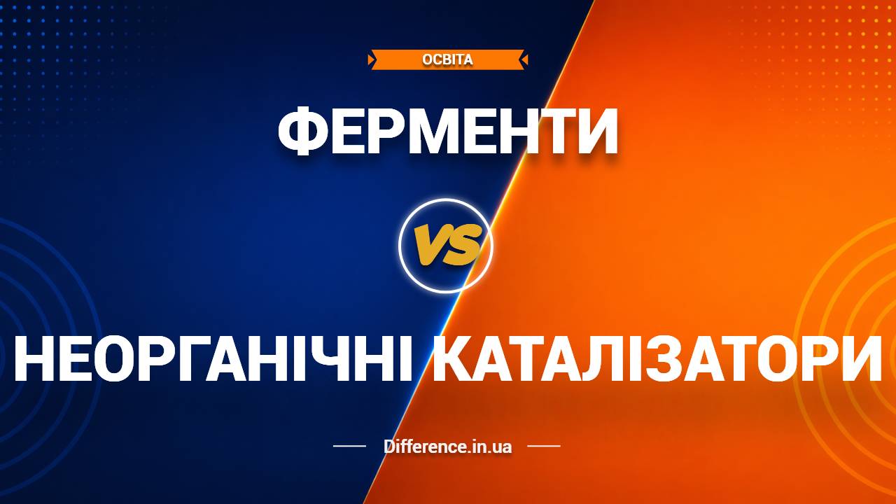 Різниця між ферментами та неорганічними каталізаторами