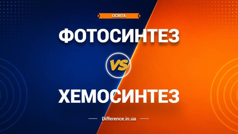 Різниця між фотосинтезом і хемосинтезом