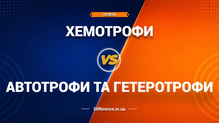 Різниця між хемотрофами, автотрофами та гетеротрофами
