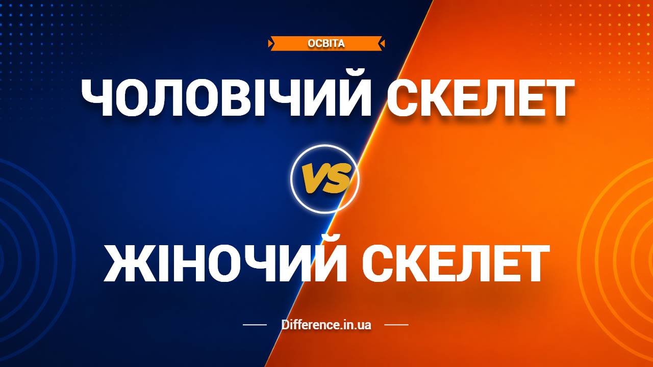 Різниця між чоловічим і жіночим скелетом