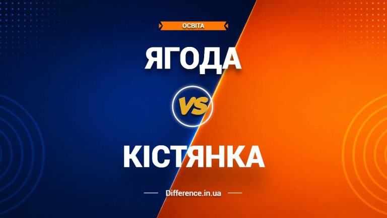 Різниця між ягодою та кістянкою