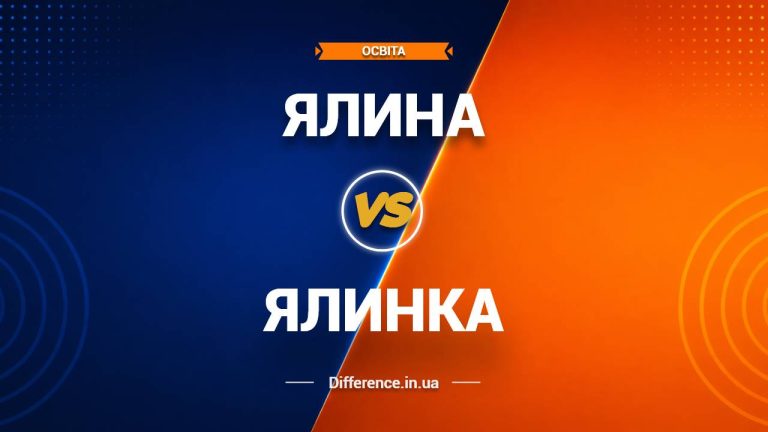 Різниця між ялинкою та ялиною