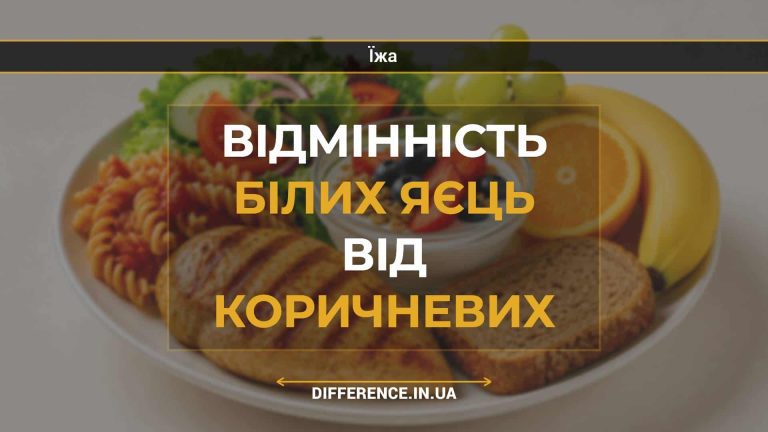 Відмінність білих яєць від коричневих