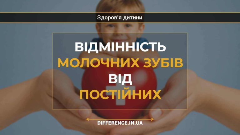 Відмінність молочних зубів від постійних