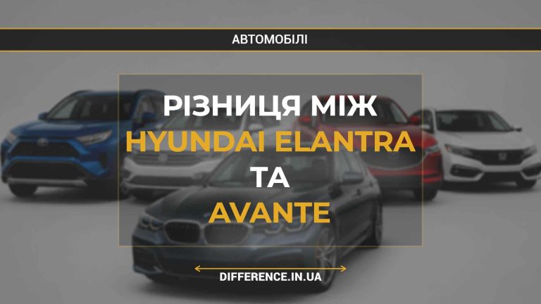 Різниця між Hyundai Elantra та Avante