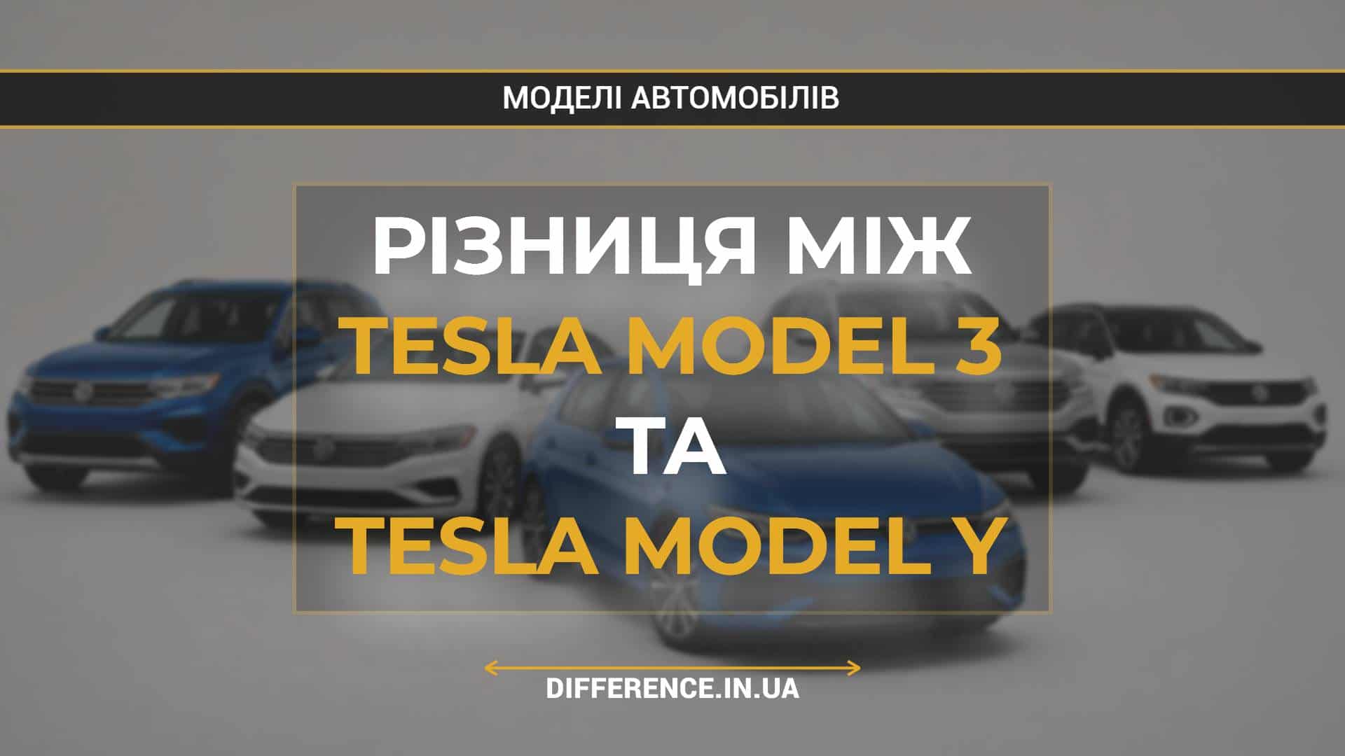 Різниця між Tesla Model 3 та Tesla Model Y