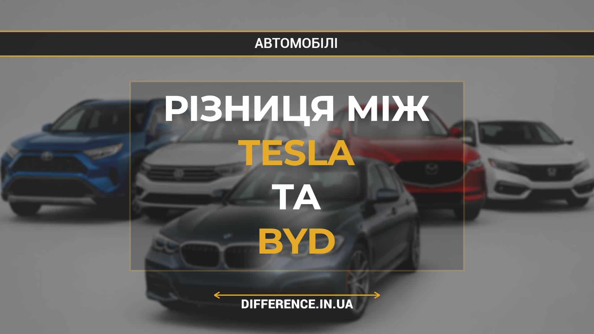 Різниця між Tesla та BYD