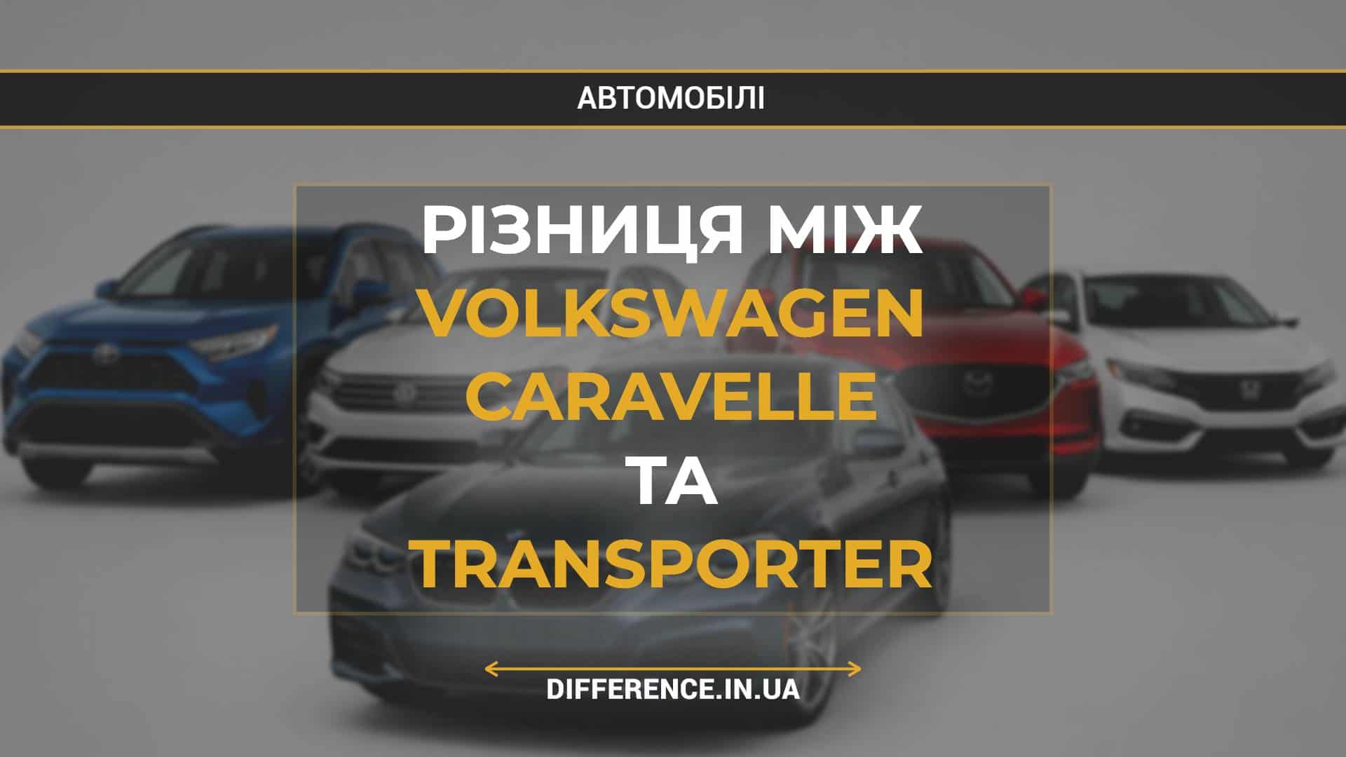 Різниця між Volkswagen Caravelle та Transporter
