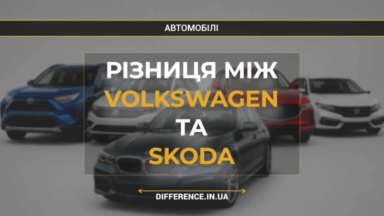 Різниця між Volkswagen та Skoda