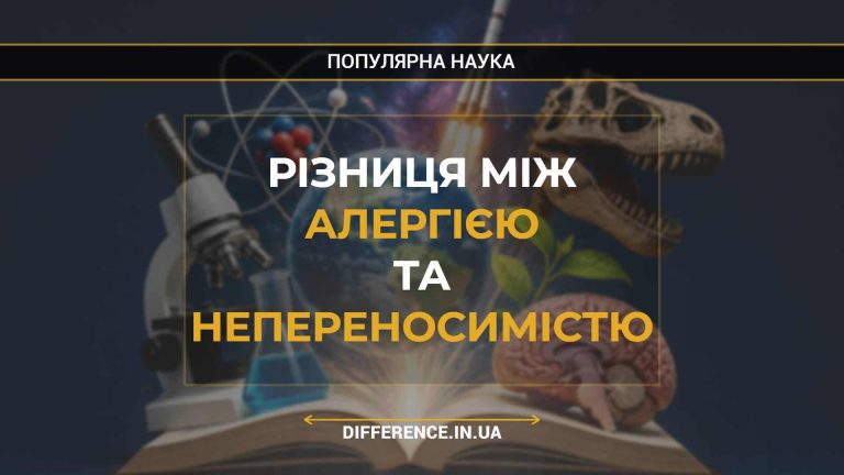 Різниця між Алергією та Непереносимістю