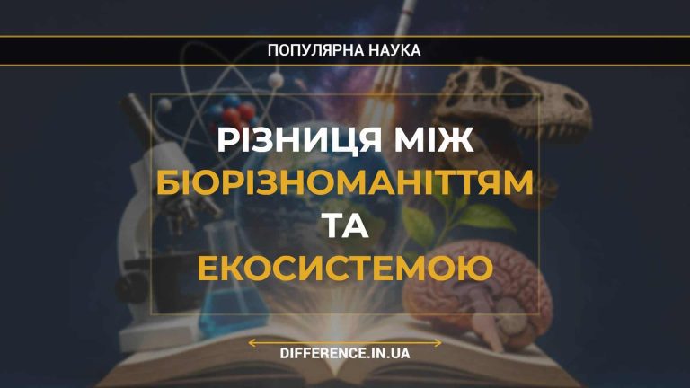 Різниця між Біорізноманіттям та Екосистемою