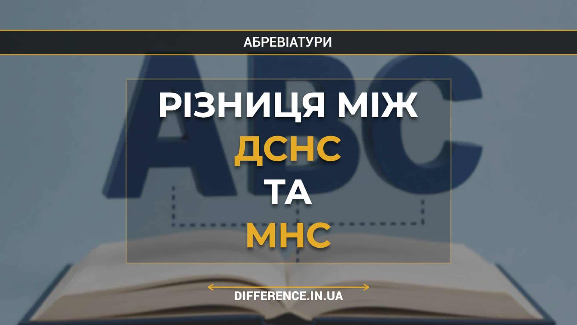 Різниця між ДСНС та МНС