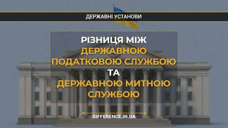 Різниця між Державною податковою службою та Державною митною службою