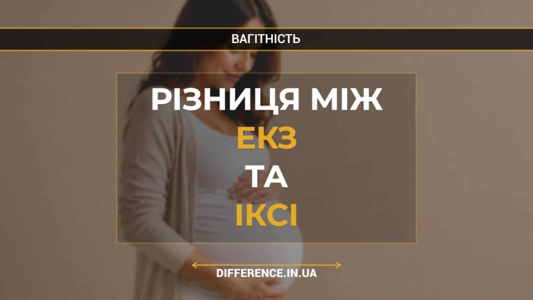 Різниця між ЕКЗ та ІКСІ