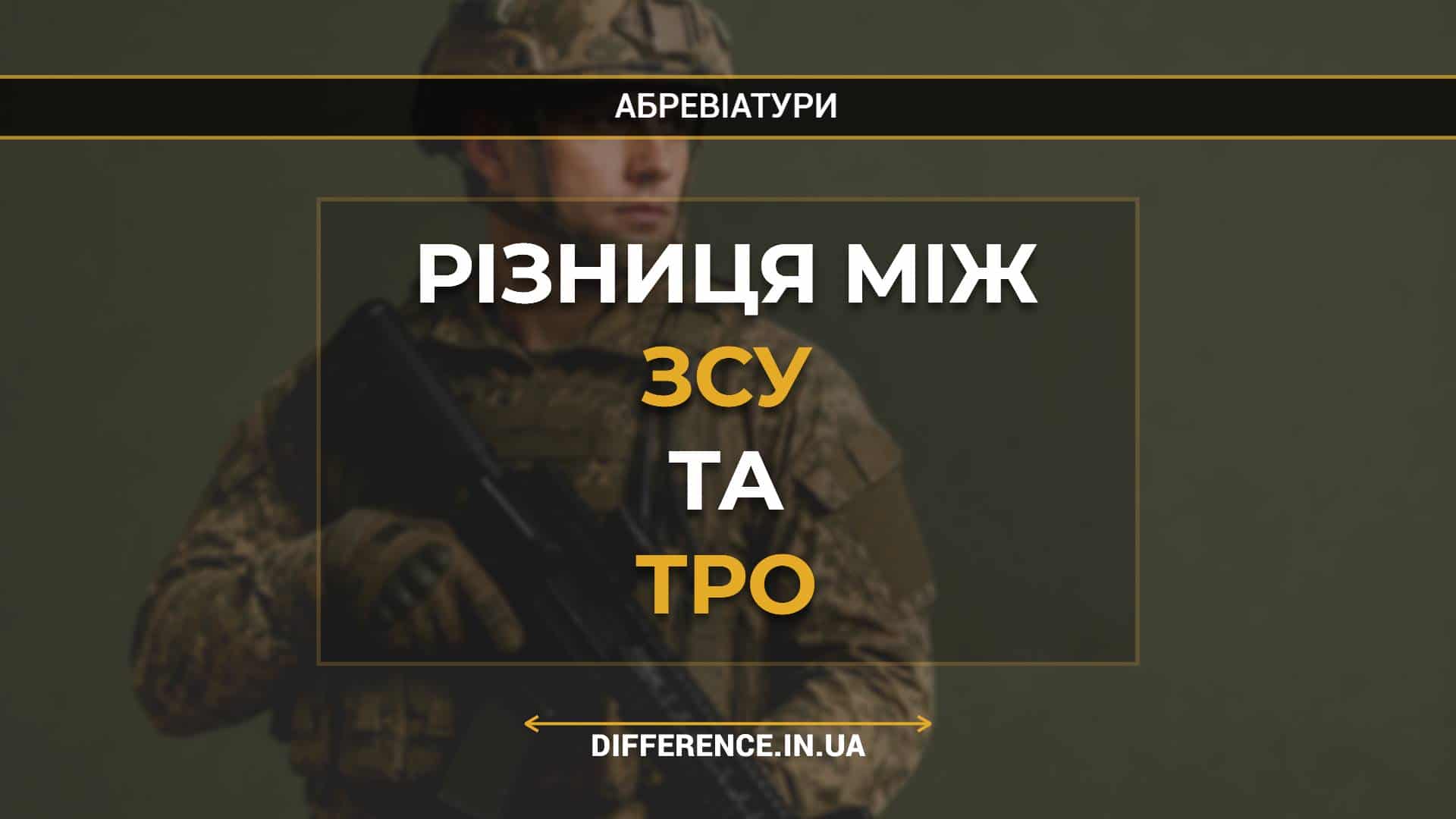 Різниця між ЗСУ та ТрО
