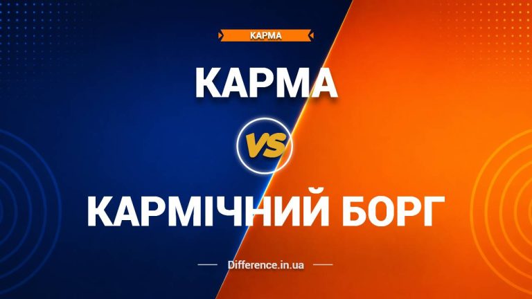 Різниця між Кармою та Кармічним Боргом