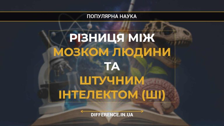 Різниця між Мозком Людини та Штучним Інтелектом (ШІ)