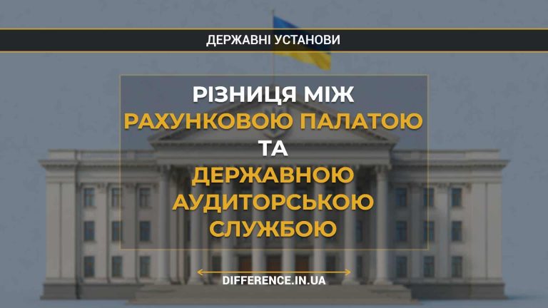 Різниця між Рахунковою палатою та Державною аудиторською службою