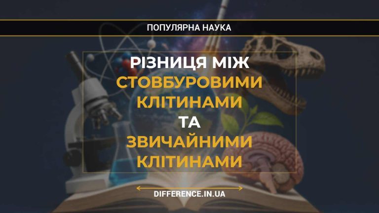 Різниця між Стовбуровими Клітинами та Звичайними Клітинами