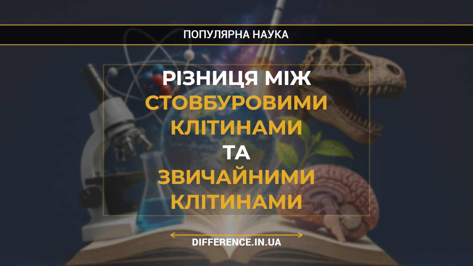 Різниця між Стовбуровими Клітинами та Звичайними Клітинами