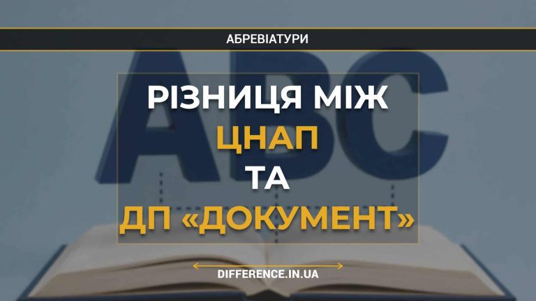 Різниця між ЦНАП та ДП «Документ»