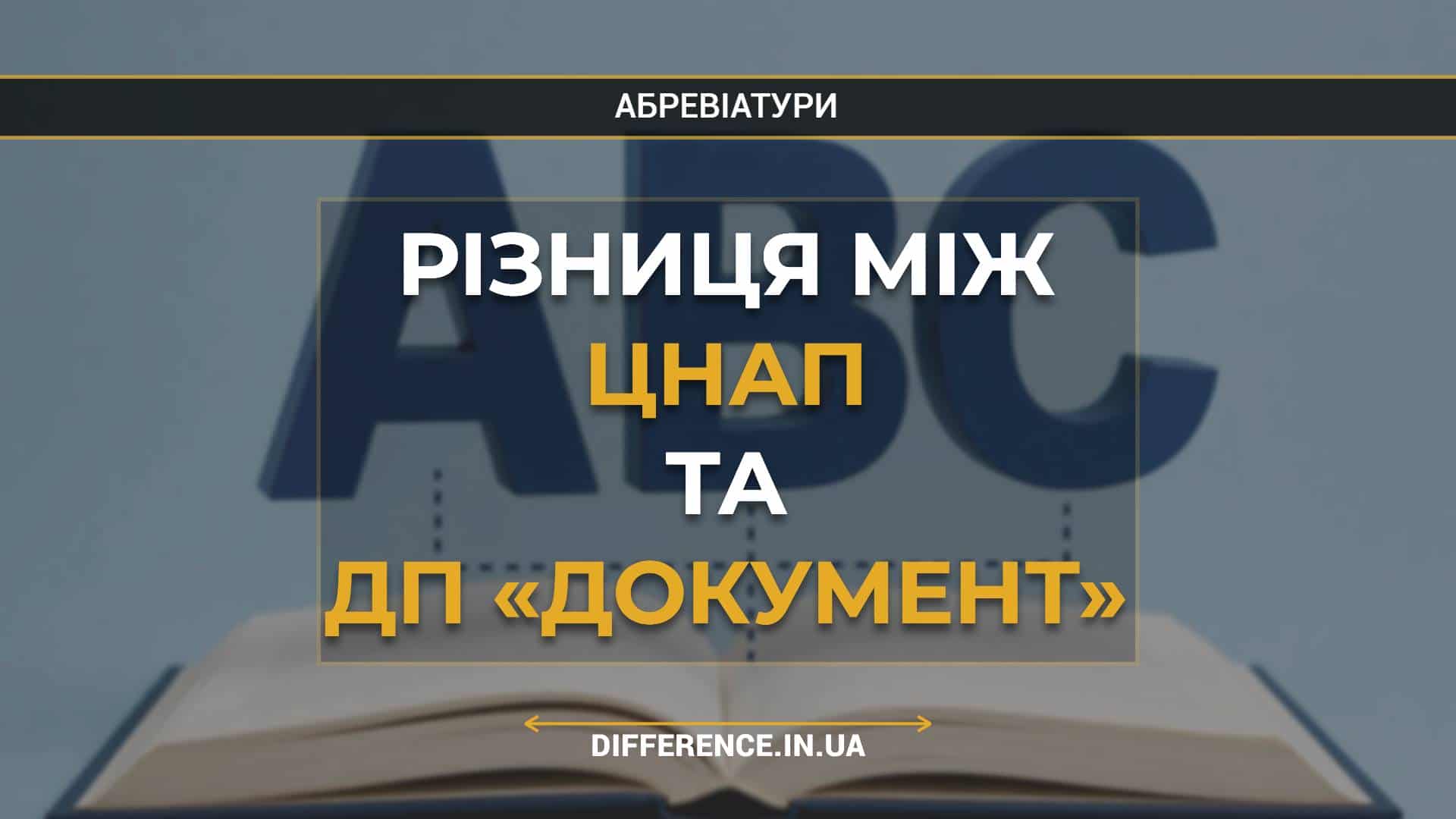 Різниця між ЦНАП та ДП «Документ»