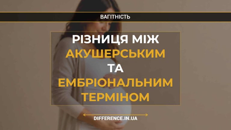 Різниця між акушерським та ембріональним терміном