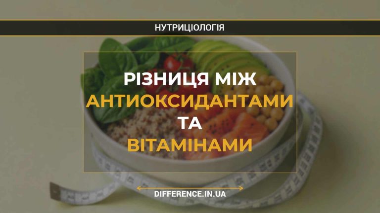 Різниця між антиоксидантами та вітамінами