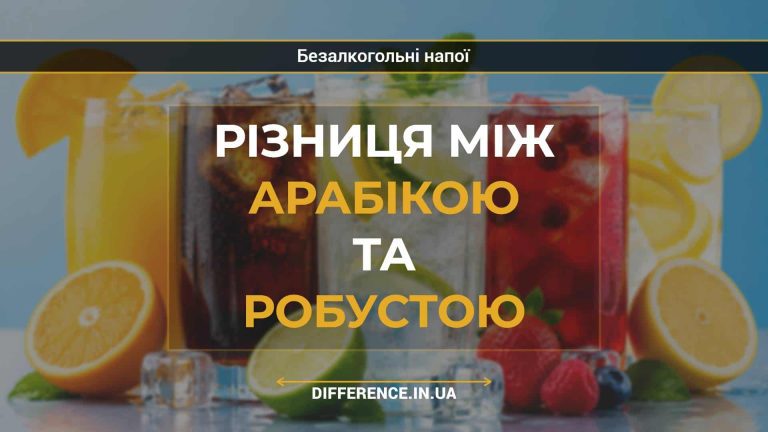 Різниця між арабікою та робустою