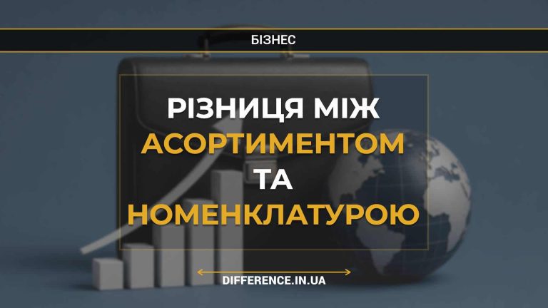 Різниця між асортиментом та номенклатурою