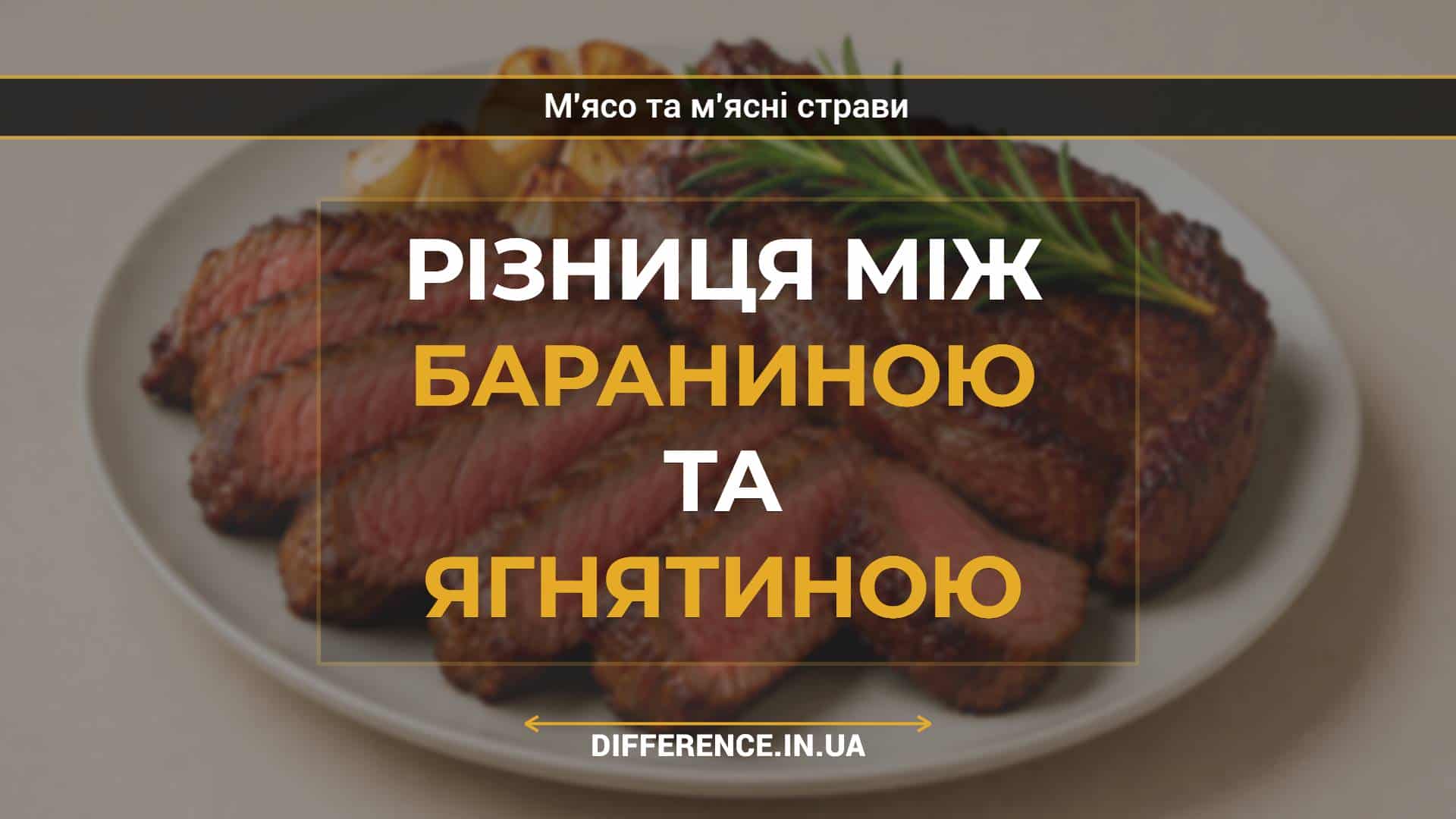 Різниця між бараниною та ягнятиною