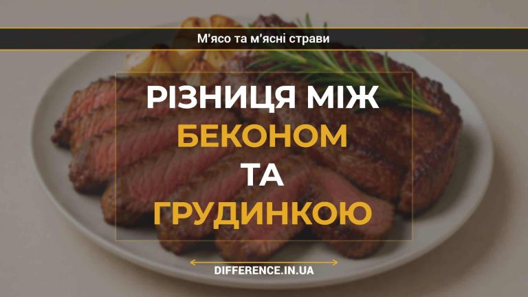 Різниця між беконом та грудинкою