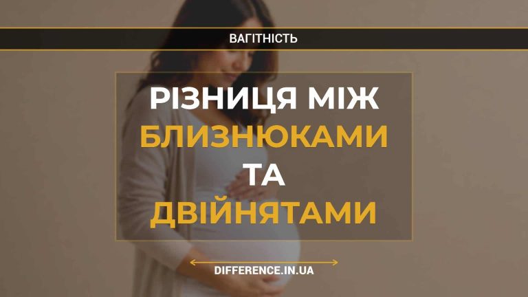 Різниця між близнюками та двійнятами