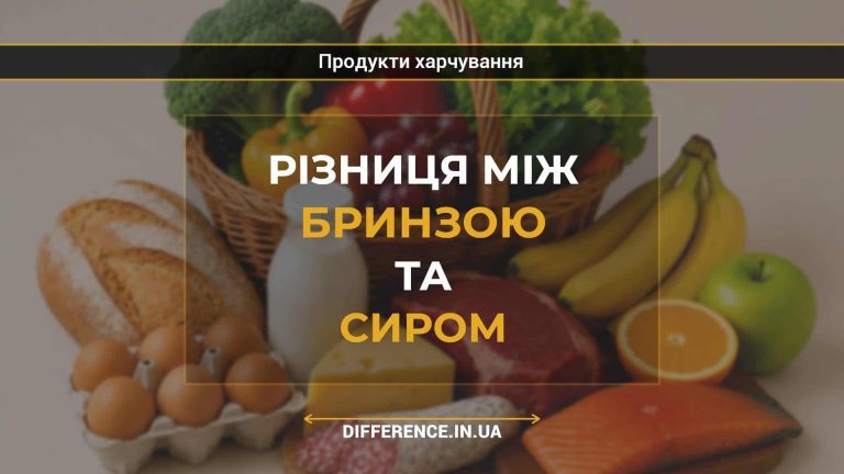 Різниця між бринзою та сиром