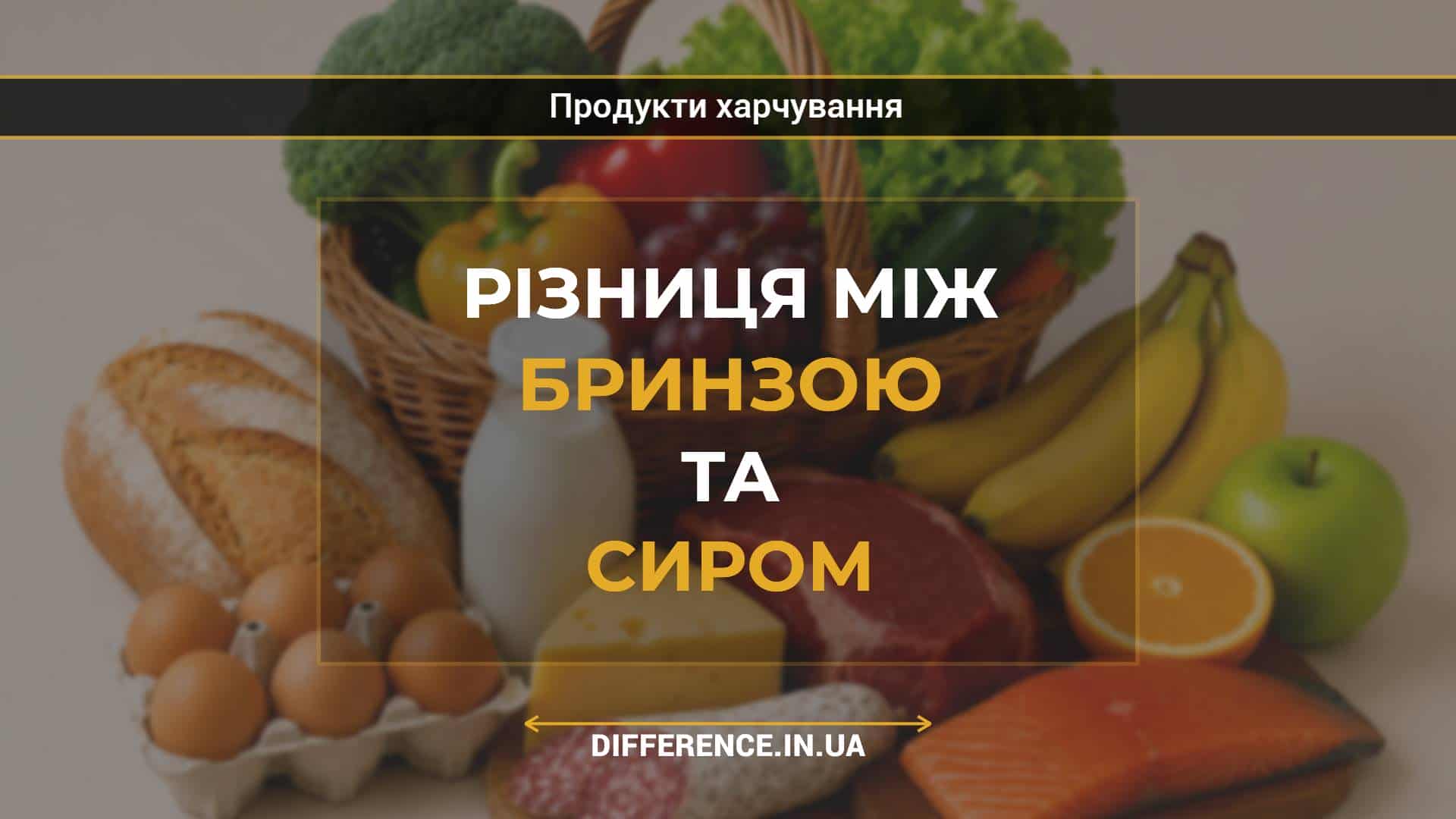 Різниця між бринзою та сиром