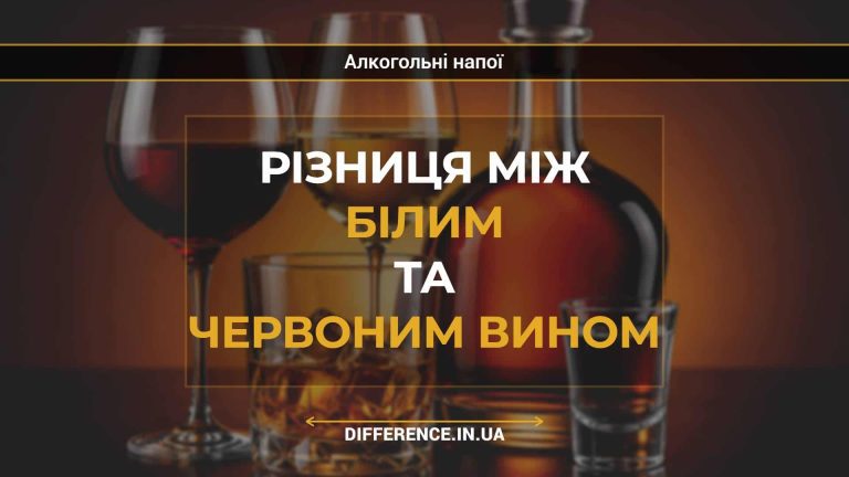 Різниця між білим та червоним вином