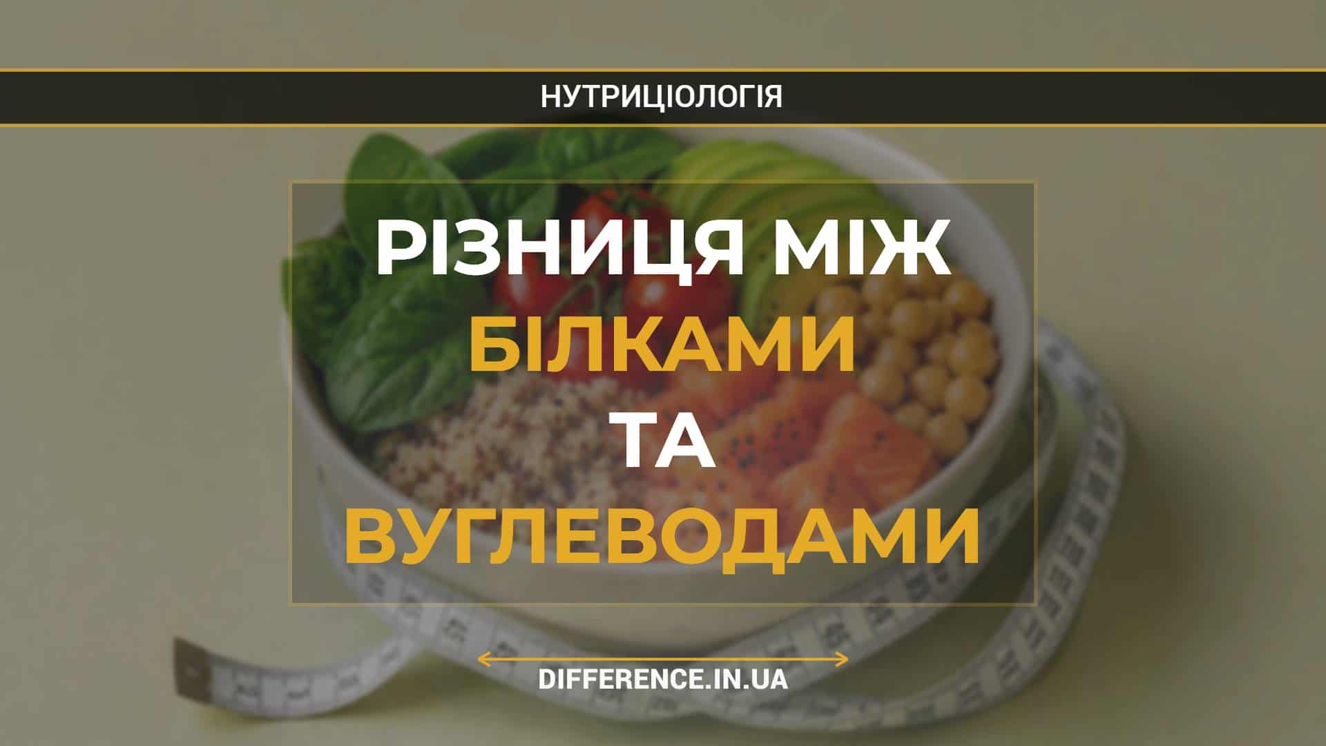 Різниця між білками та вуглеводами