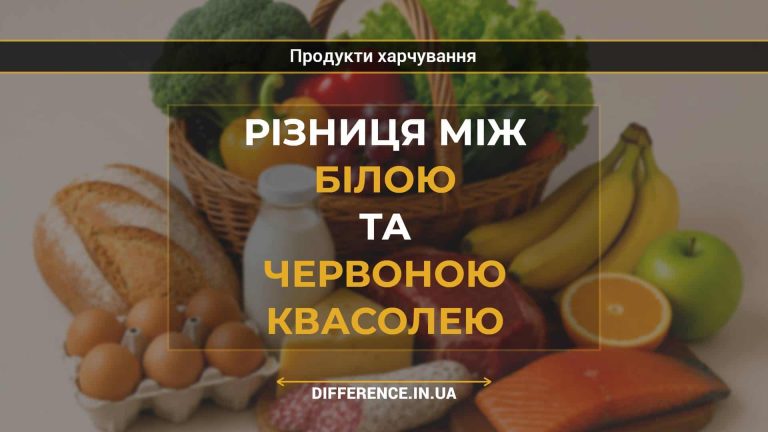 Різниця між білою та червоною квасолею