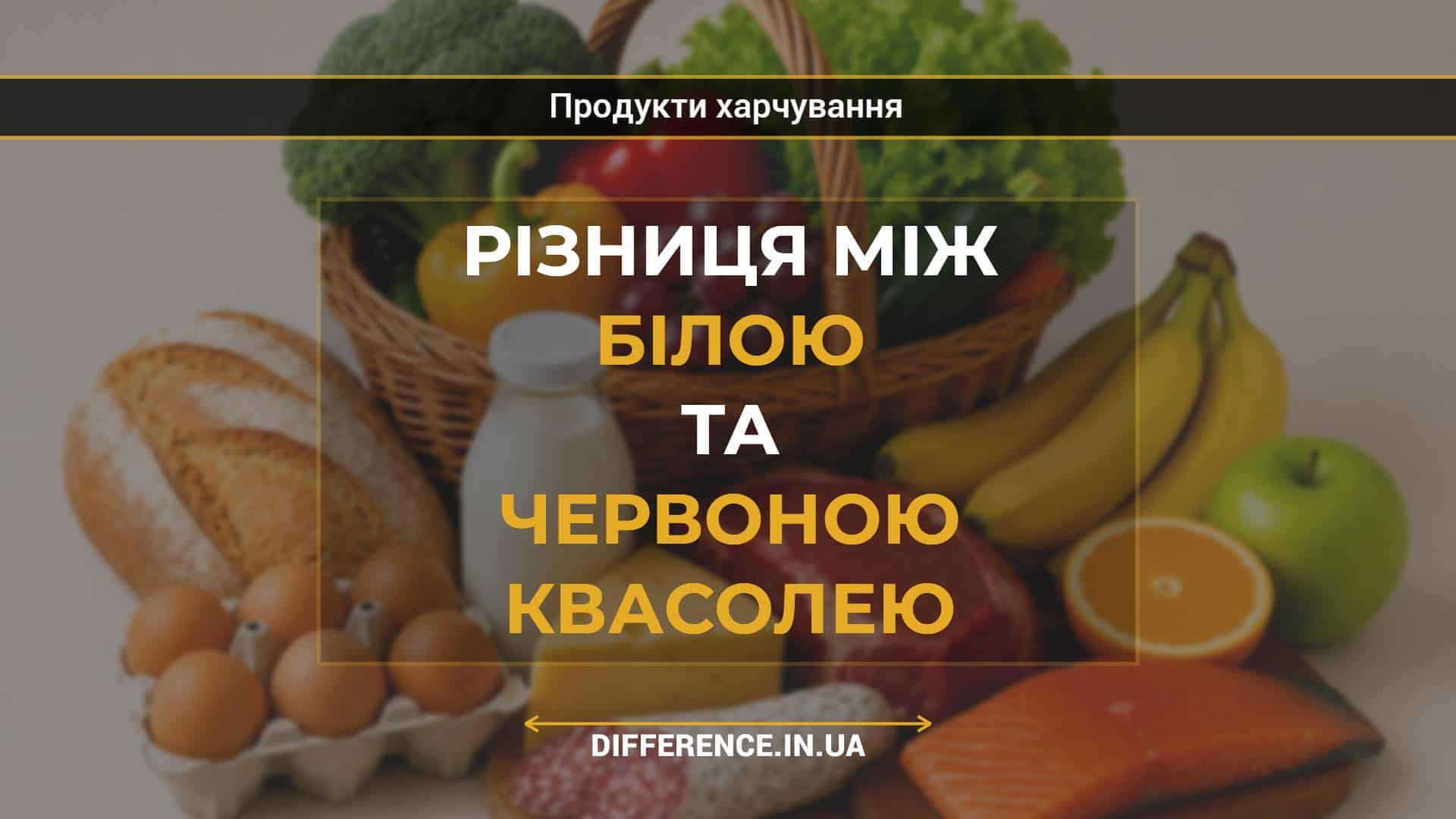 Різниця між білою та червоною квасолею
