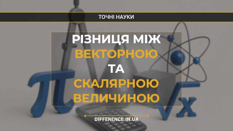 Різниця між векторною та скалярною величиною