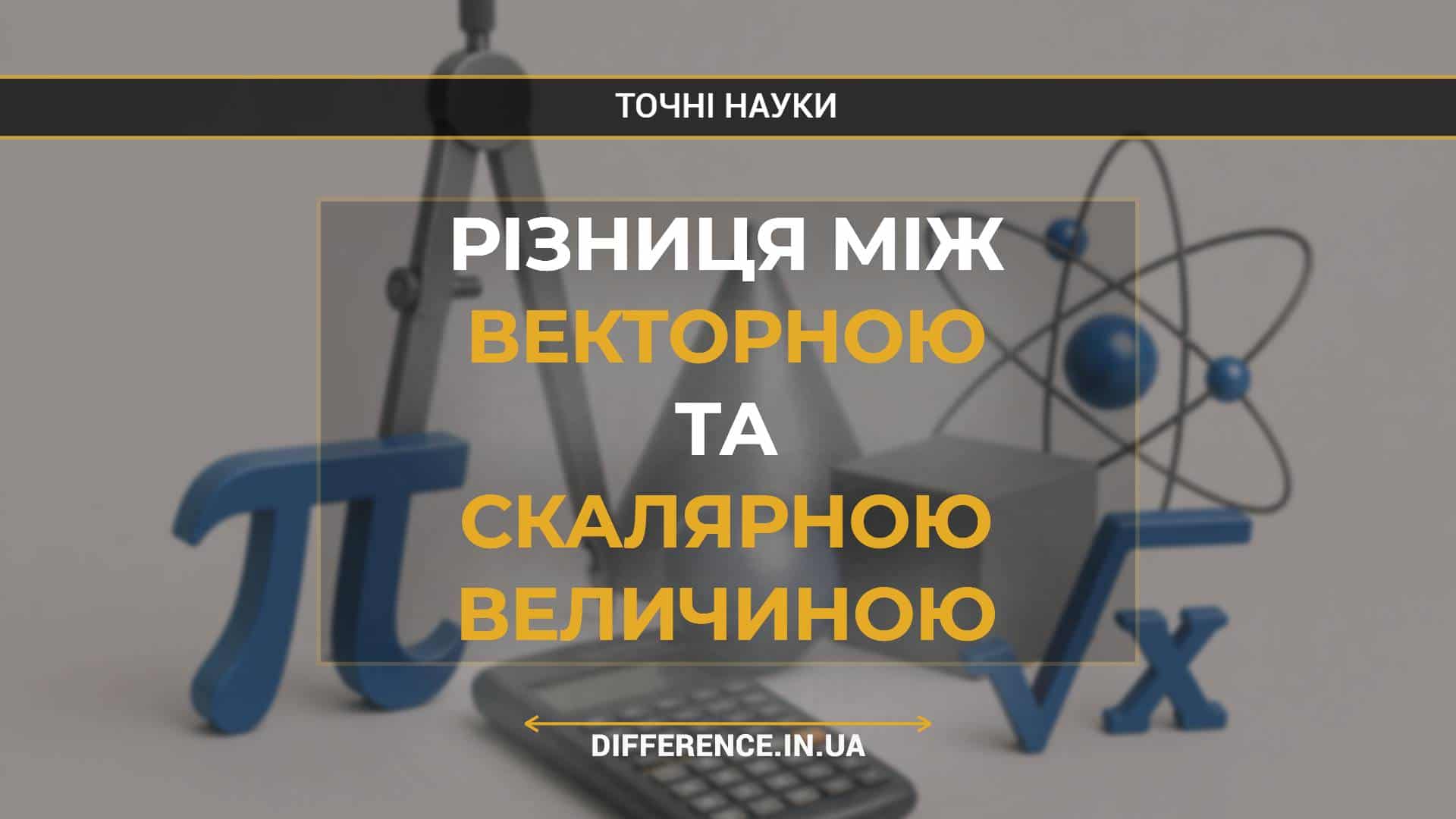 Різниця між векторною та скалярною величиною