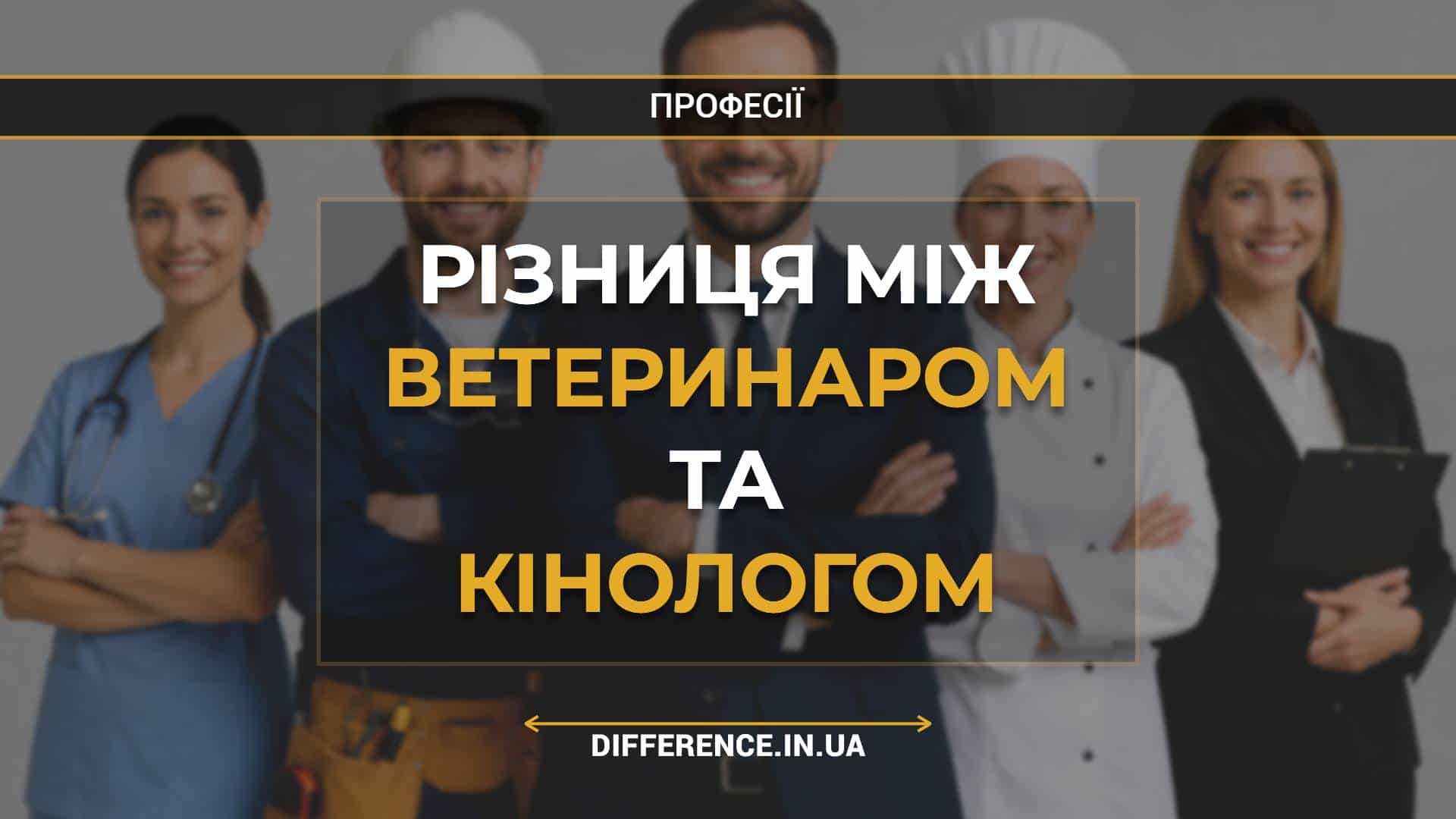Різниця між ветеринаром та кінологом
