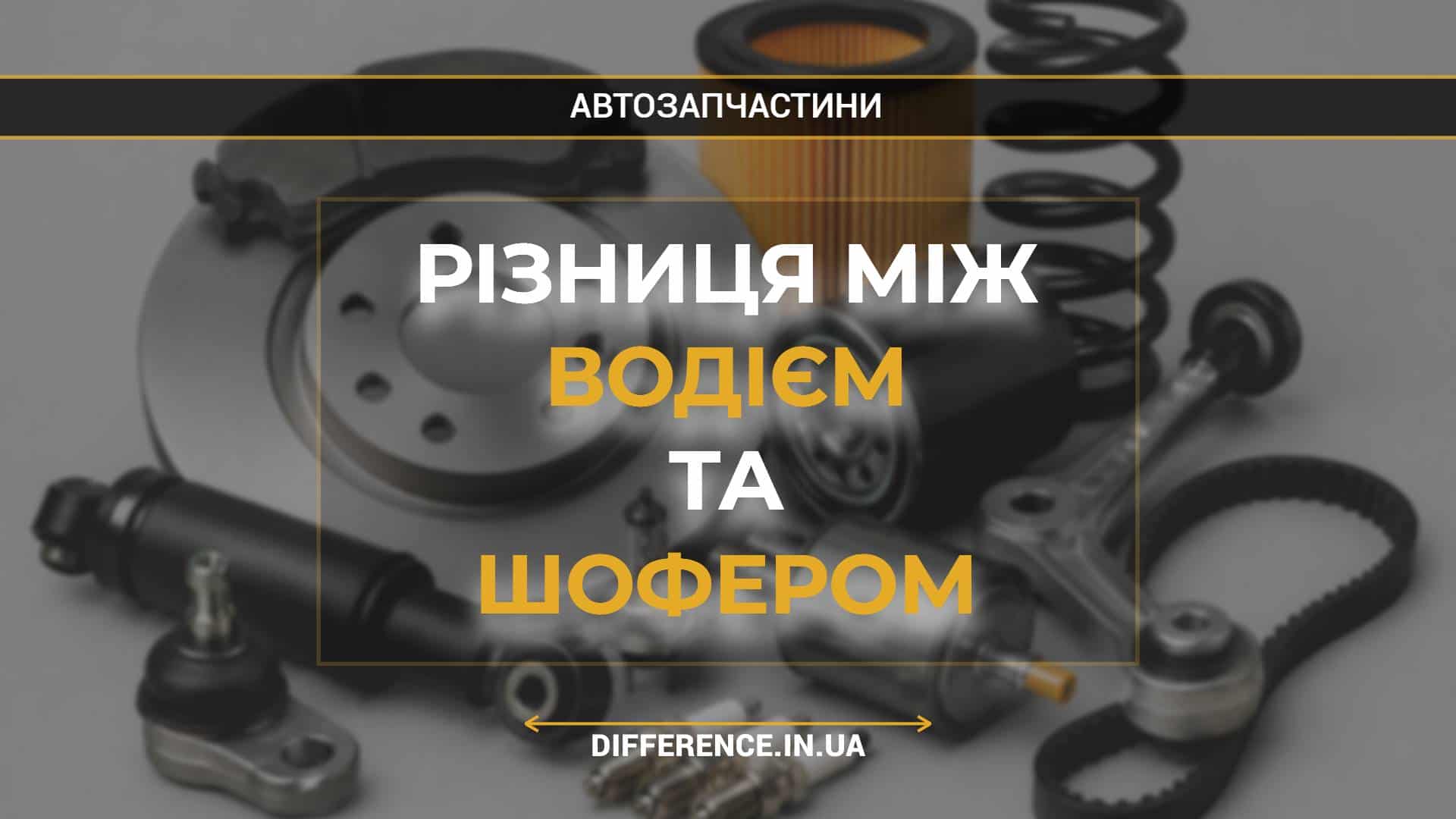 Різниця між водієм та шофером