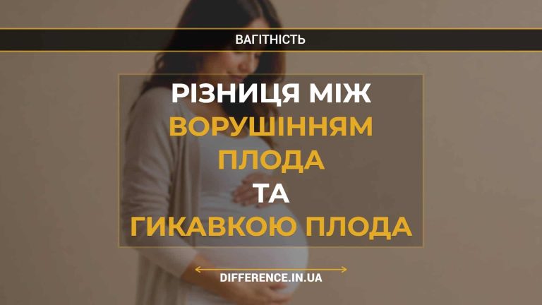 Різниця між ворушінням плода та гикавкою плода